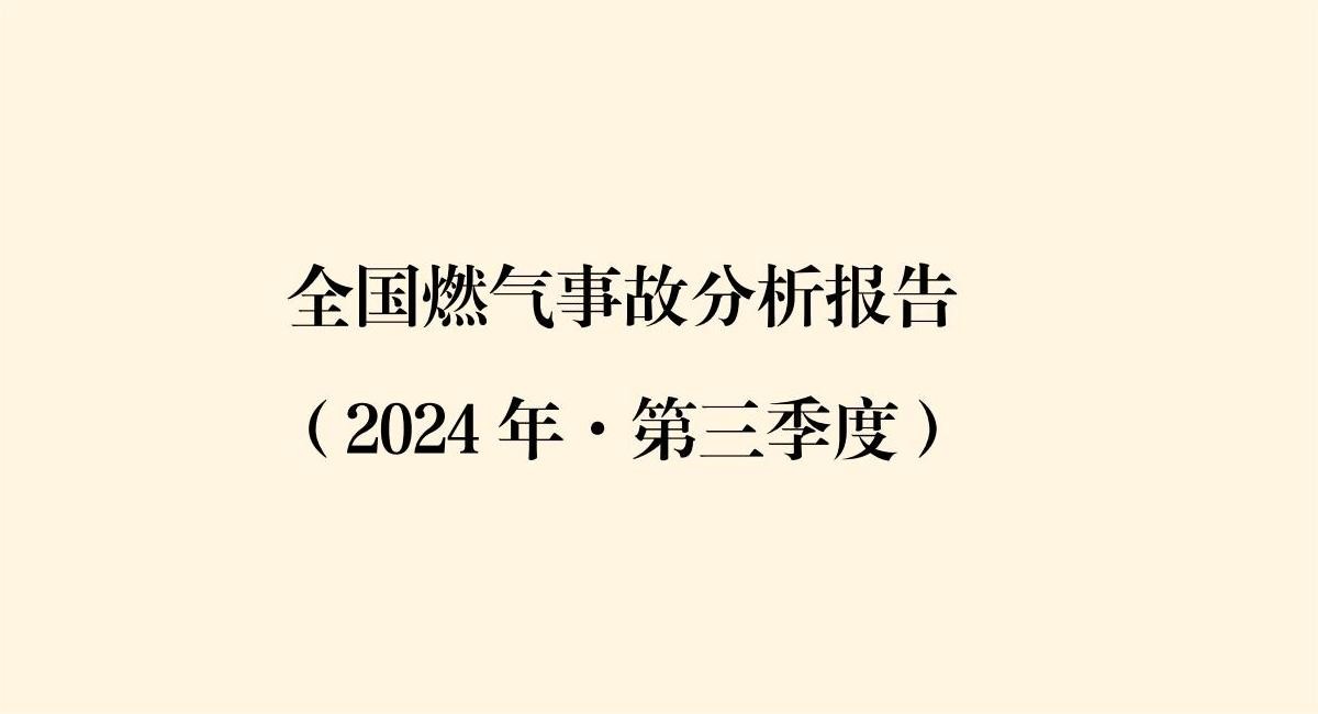ȫȼ¹ʷ棬2024